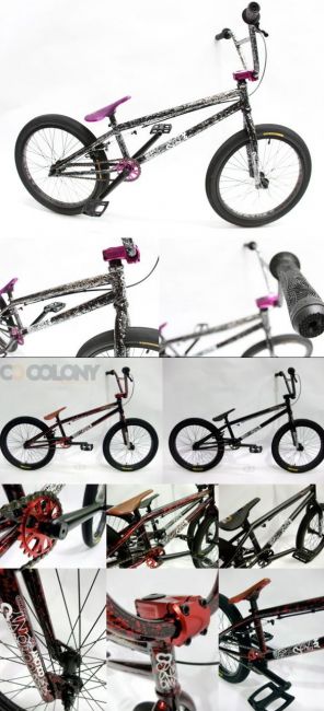 2010 - Descendent Complete Bike
