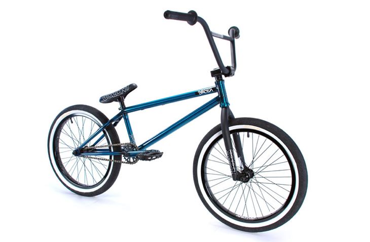 Colony-Teddy-Trans-blu-v1-800